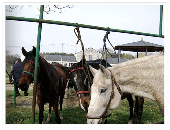 FERIA DE ADAI